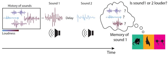 Sound experiment