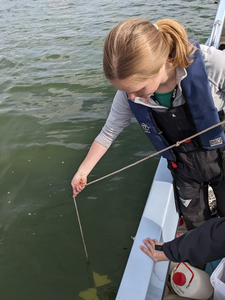 Measuring water clarity at Loch Leven