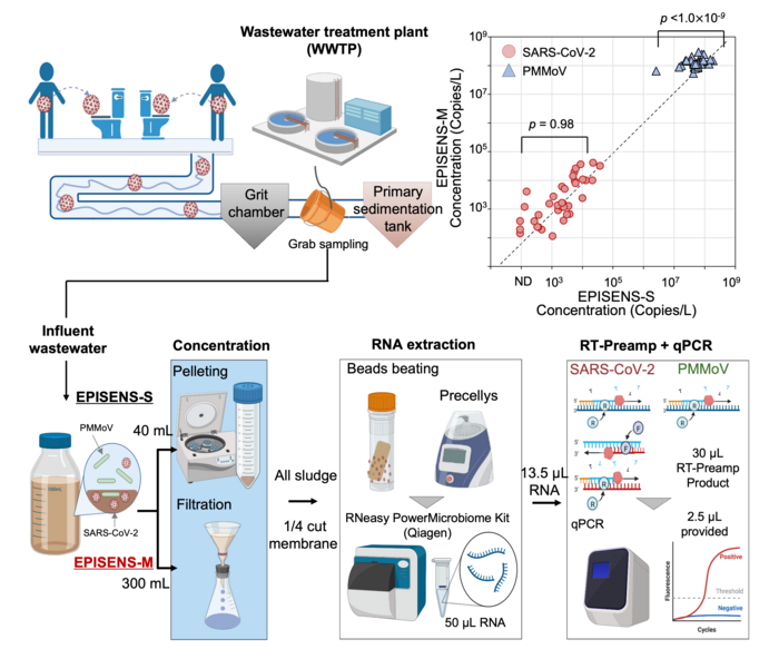 EPISENS-M for the detection of SARS-CoV-2 in wastewater