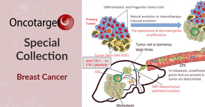 Oncotarget Launches Special Collection on Breast Cancer