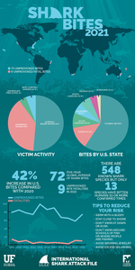 2021 global shark bite data