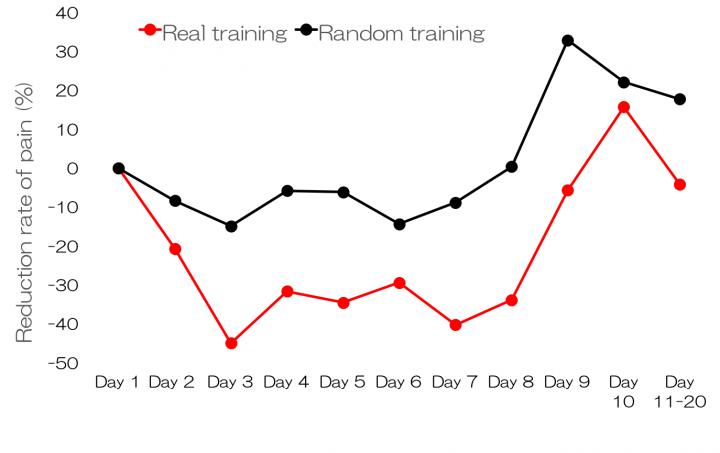 Figure 2: BCI training resulted in pain reduction
