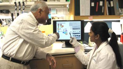 Controlling High Blood Sugar