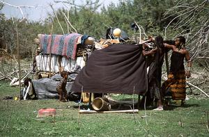 Fulani camp in Niger