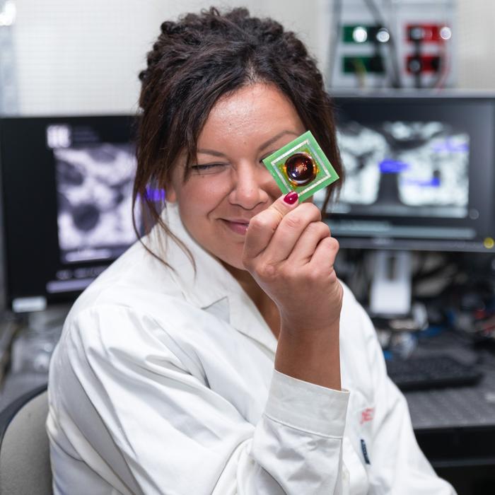 Prof. Francesca Santoro [IMAGE] EurekAlert! Science News Releases