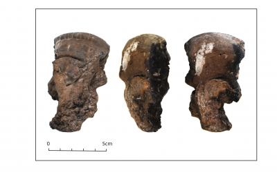 Use of Tinder Fungi Among Neolithic Communities at la Draga
