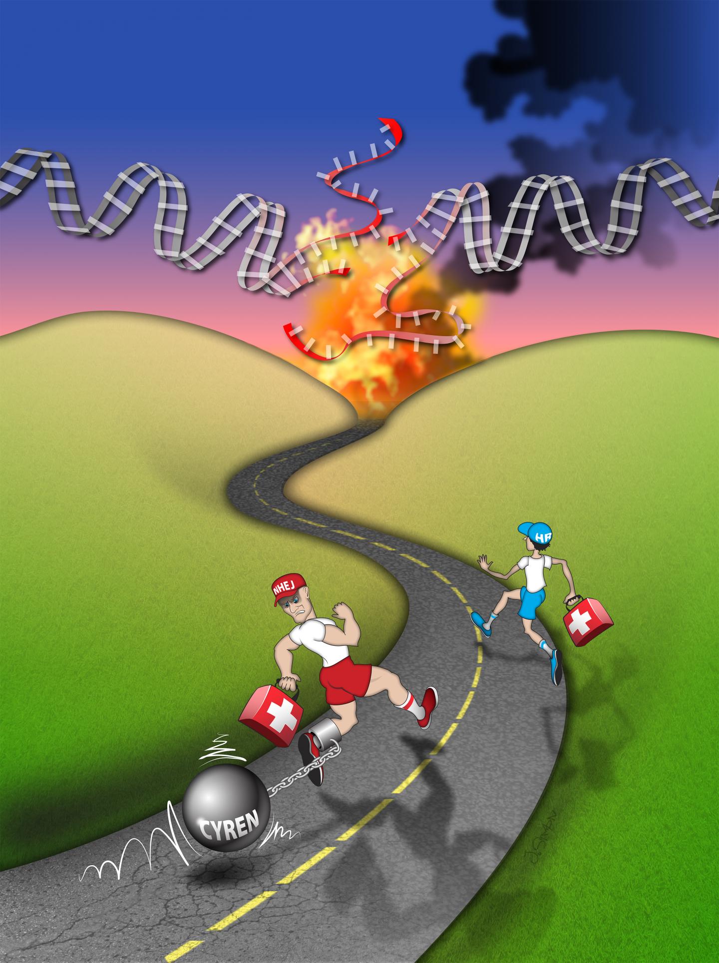 Salk Institute - Karlseder Microprotein Illustration