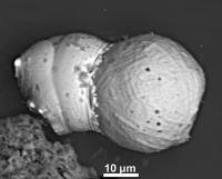 'Tectonic' Effects of the Collision of 1 Spherule with Another During the Cosmic Impact