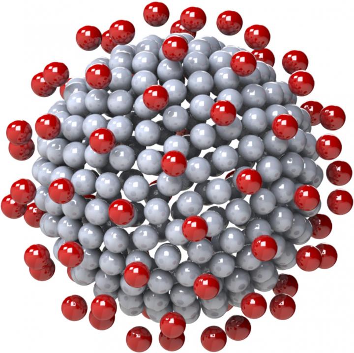 The Conventional Image of a Coronavirus Particle