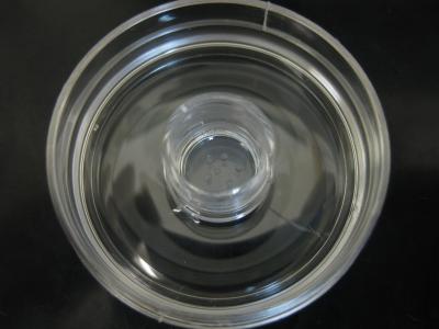 System for Culturing Fetal Testicles Developed by René Habert's Team