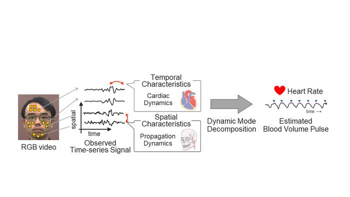 Novel method for extracting spatio-temporal structure of blood volume pulse for accurate heart rate estimation