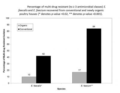 Percentage of Multi-drug Resistant Enterococci Bacteria from Conventional and Organic Poultry Houses