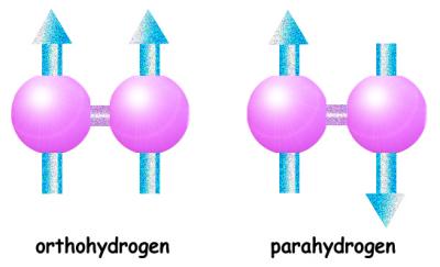Orthohydrogen and Parahydrogen