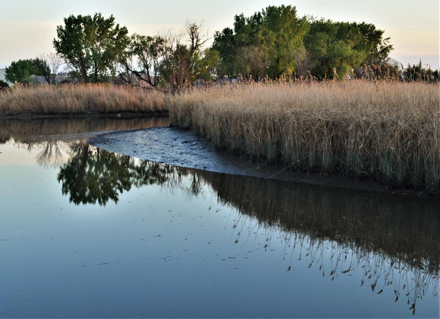 Bellman's Creek