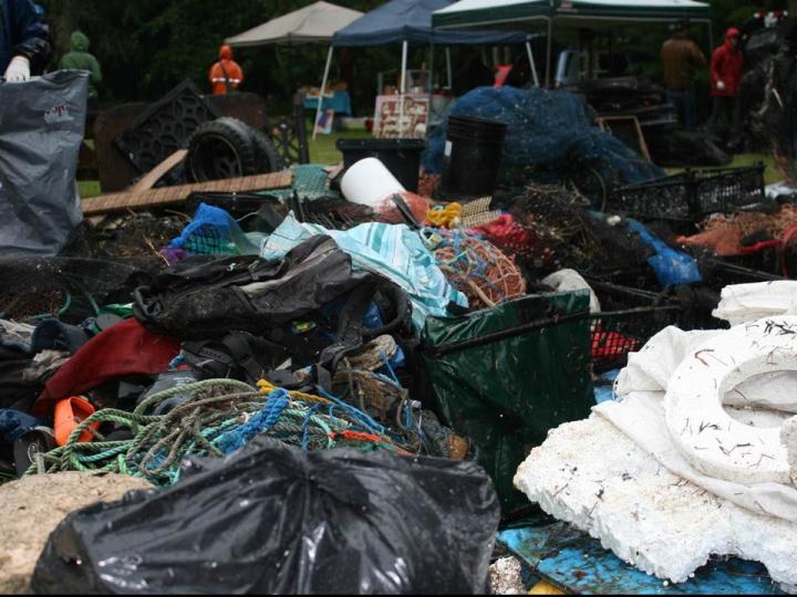 Microplastics May Be Abundant in the Surface Sediments of Baynes Sound and Lambert Channel, British 