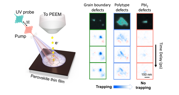 Trapping by three different types of defects in a perovskite
