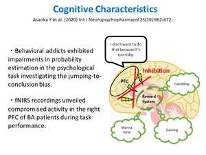 Cognitive characteristics