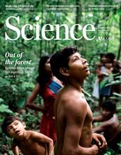 The Awe People of the Brazilian Amazon