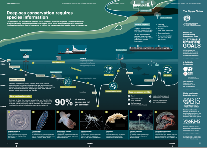 Deep sea conservation requires information