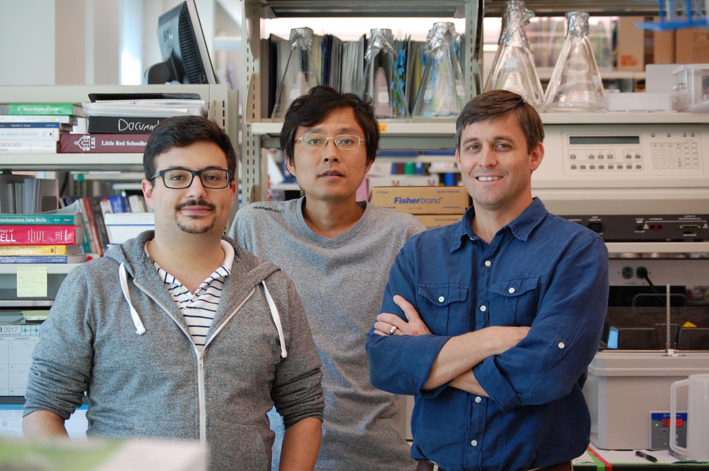 Adam Getzler, Dapeng Wang and Matthew Pipkin; Scripps Research Institute