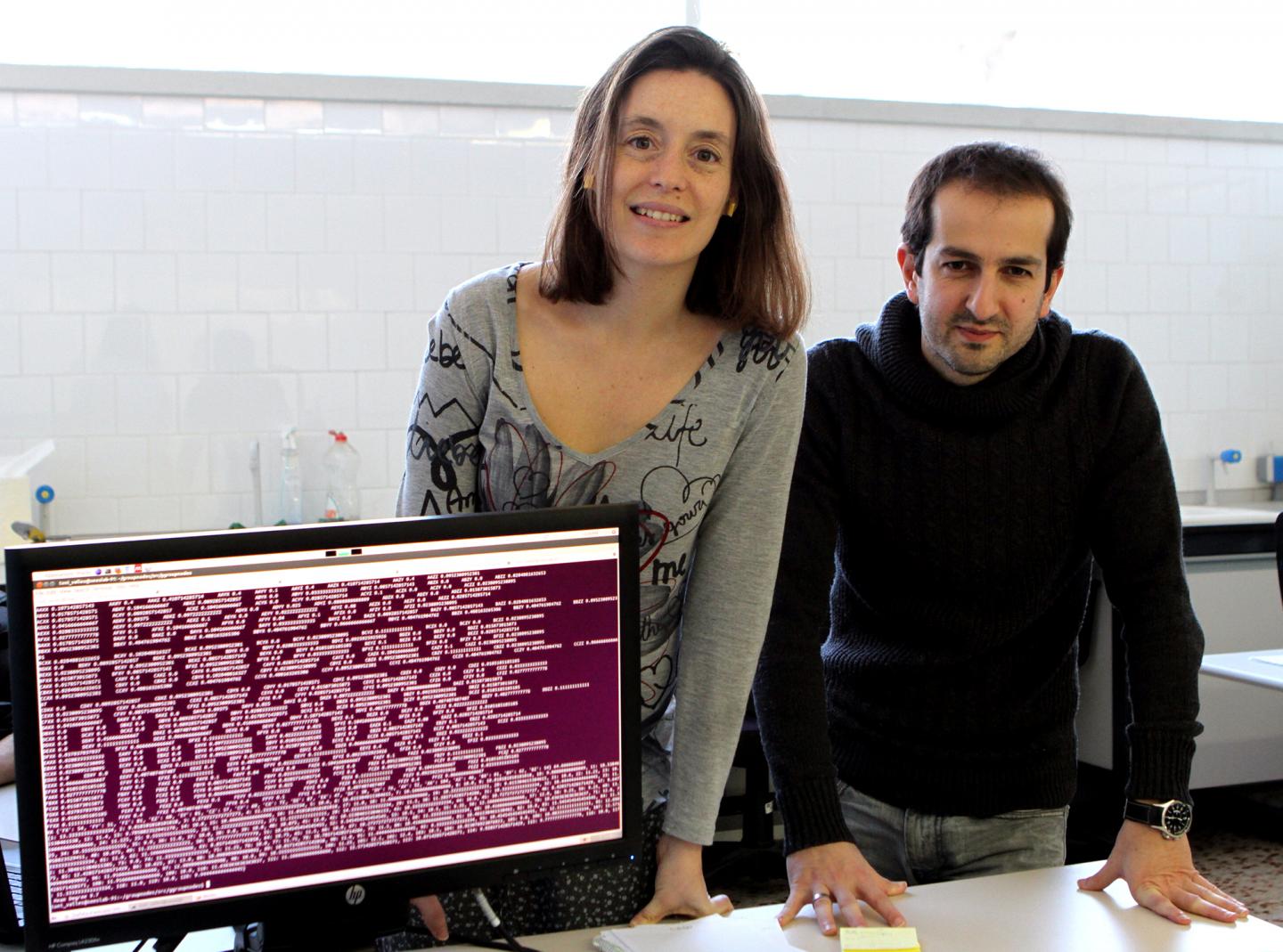 Marta Sales-Pardo and Roger Guimerà, Universitat Rovira i Virgili