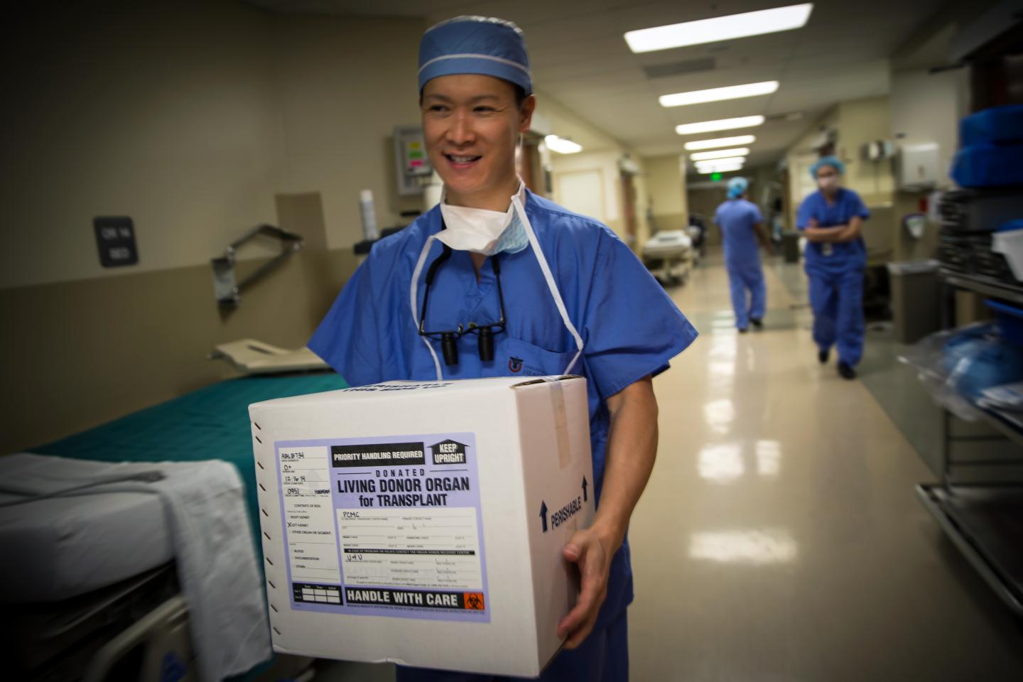 An Organ Available for Transplant