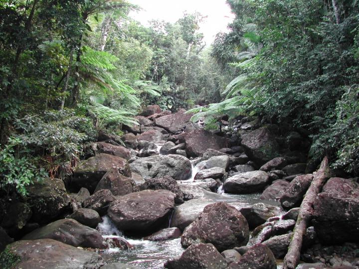 Puerto Rico Stream Sensor Study