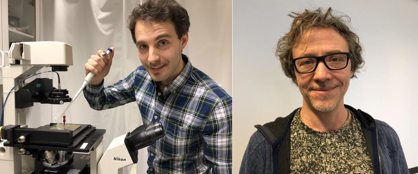 Daniel Midtvedt and Fredrik Höök, Chalmers University of Technology