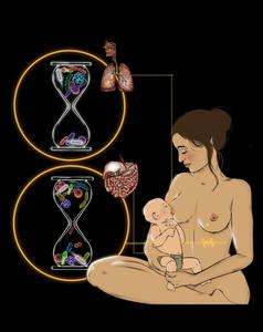 reastfeeding Is Crucial to Shaping Infant’s Microbes and Promoting Lung Health