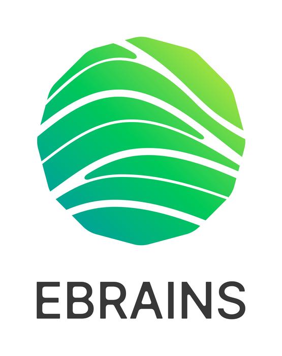EBRAINS Research Infrastructure