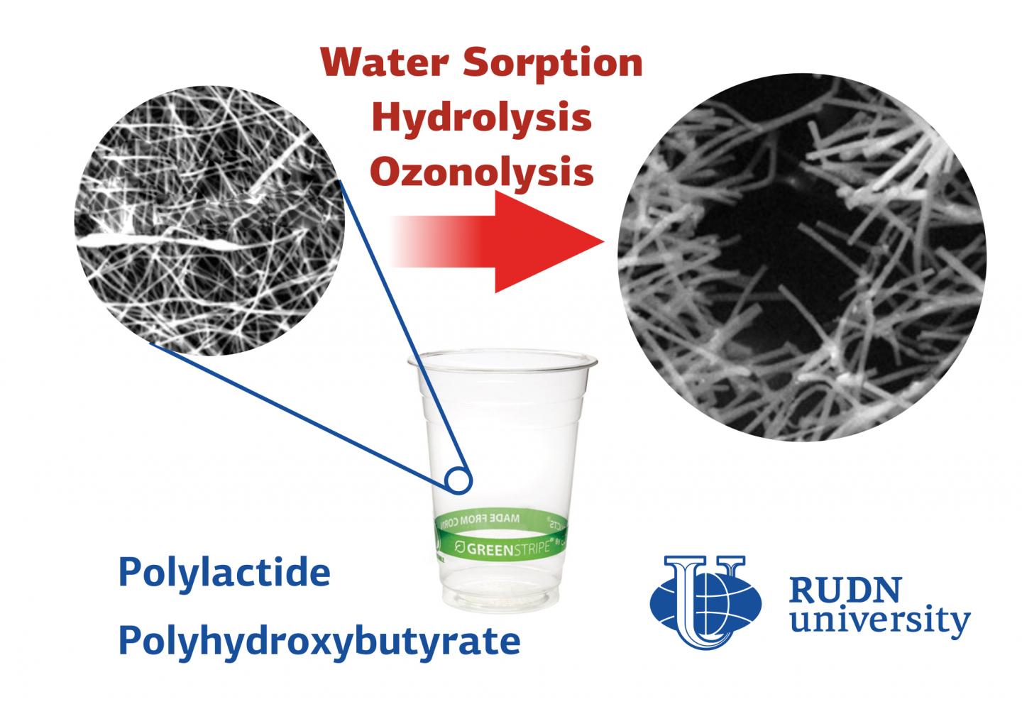 RUDN University Biologist Tested the Resistance of Bioplastics to Aggressive Environment