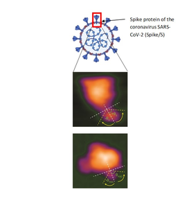 Figure 1.