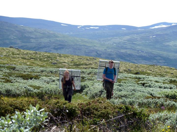 Carrying Cages into the Norwegian Mountains in the Service of Science