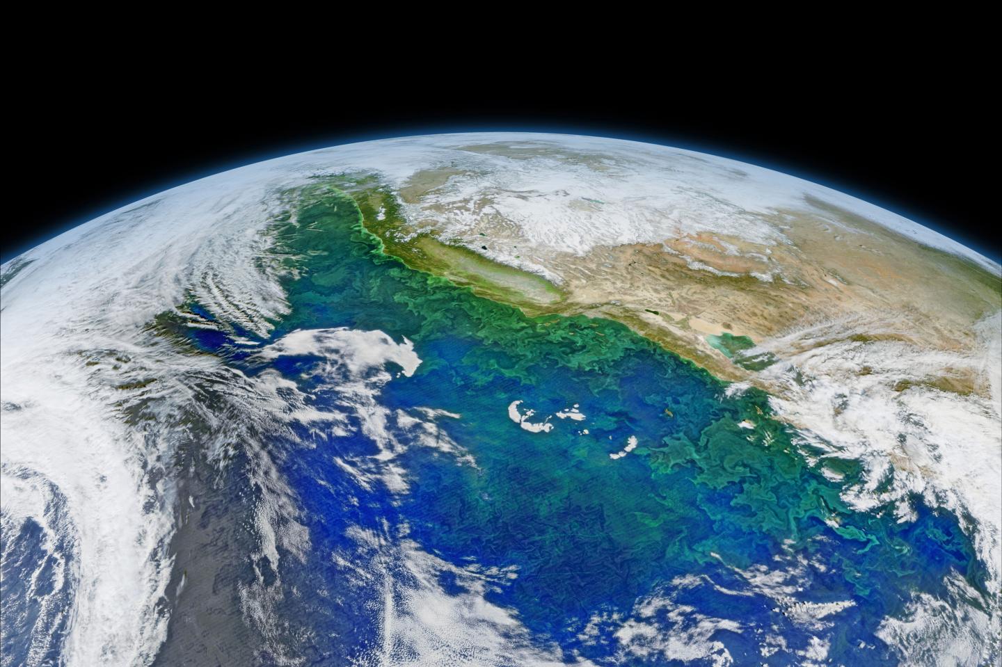 California Coastal Current