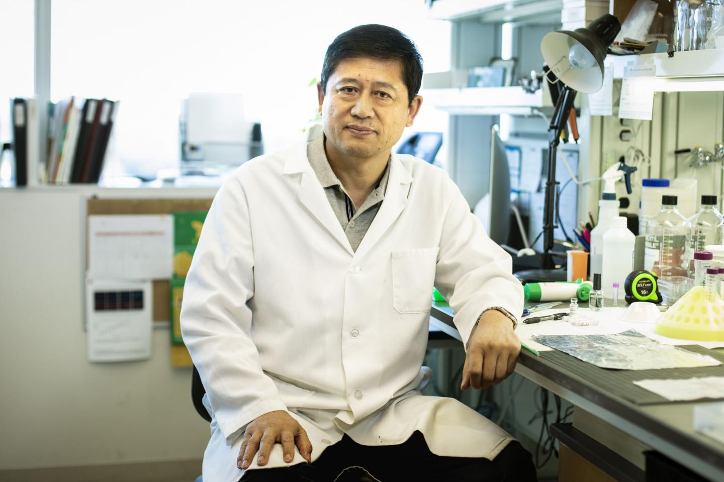 OMRF scientist Lijun Xia, M.D., Ph.D.