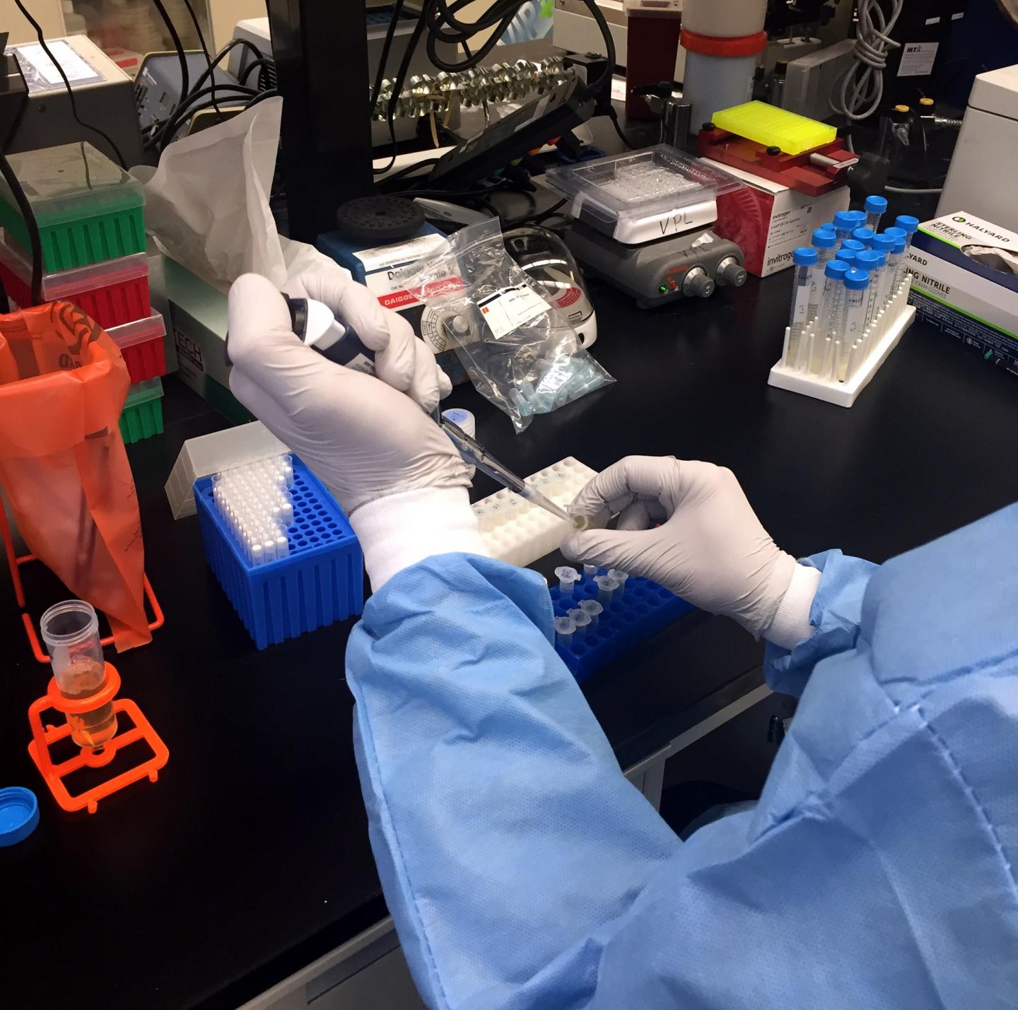 A Researcher Pipets Samples at the NIAID's VRC