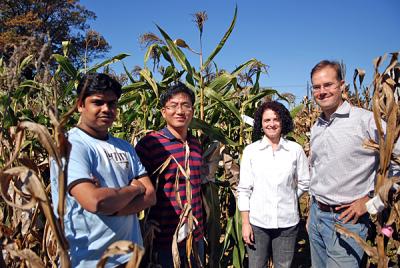 University of Delaware Corn Researchers Discover Novel Gene Shut-Off Mechanisms
