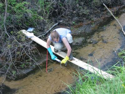 Tracking Nitrogen's Flow