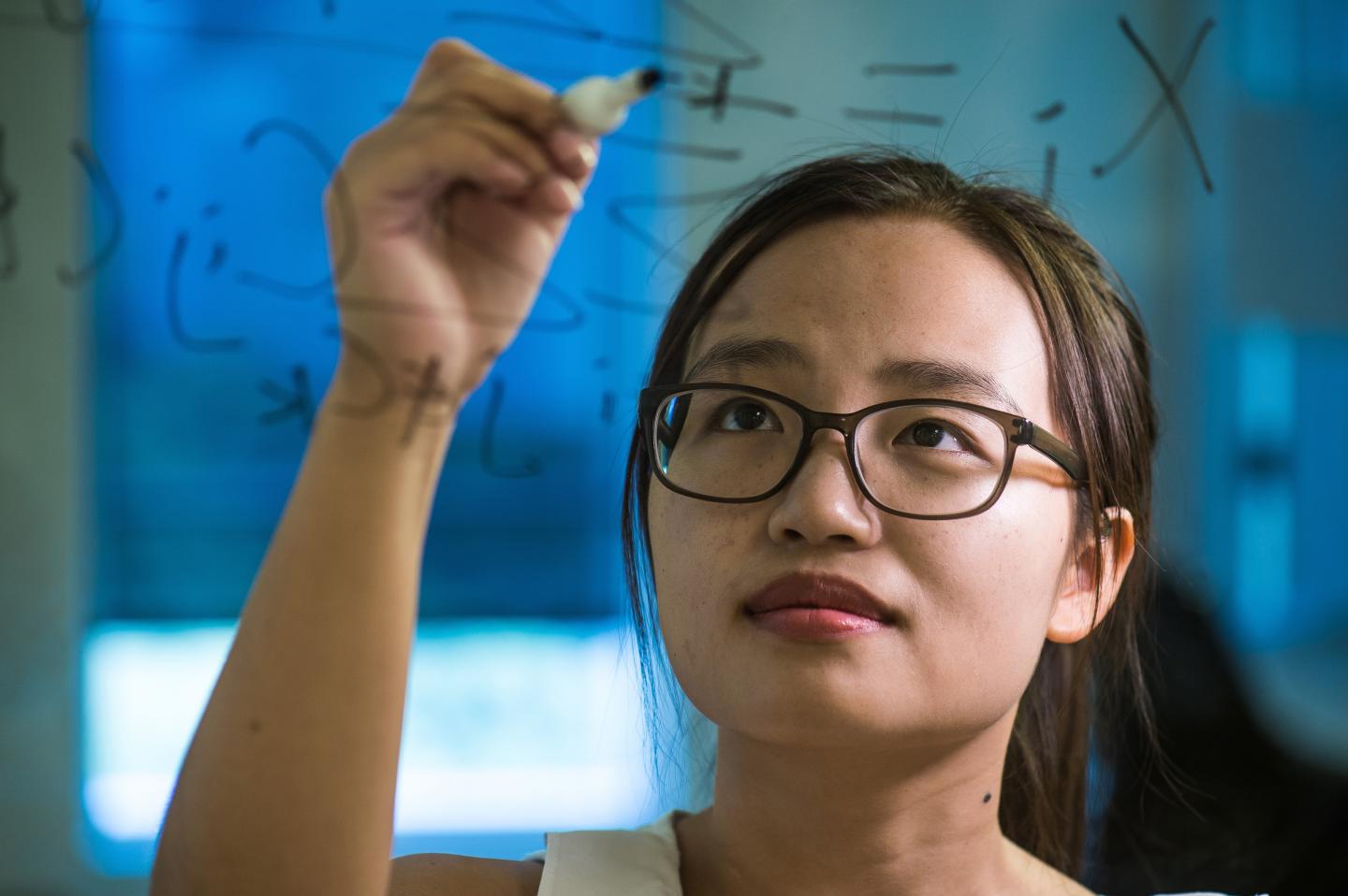 Wendy Hu, Rice University