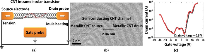 CNT intramolecular transistor