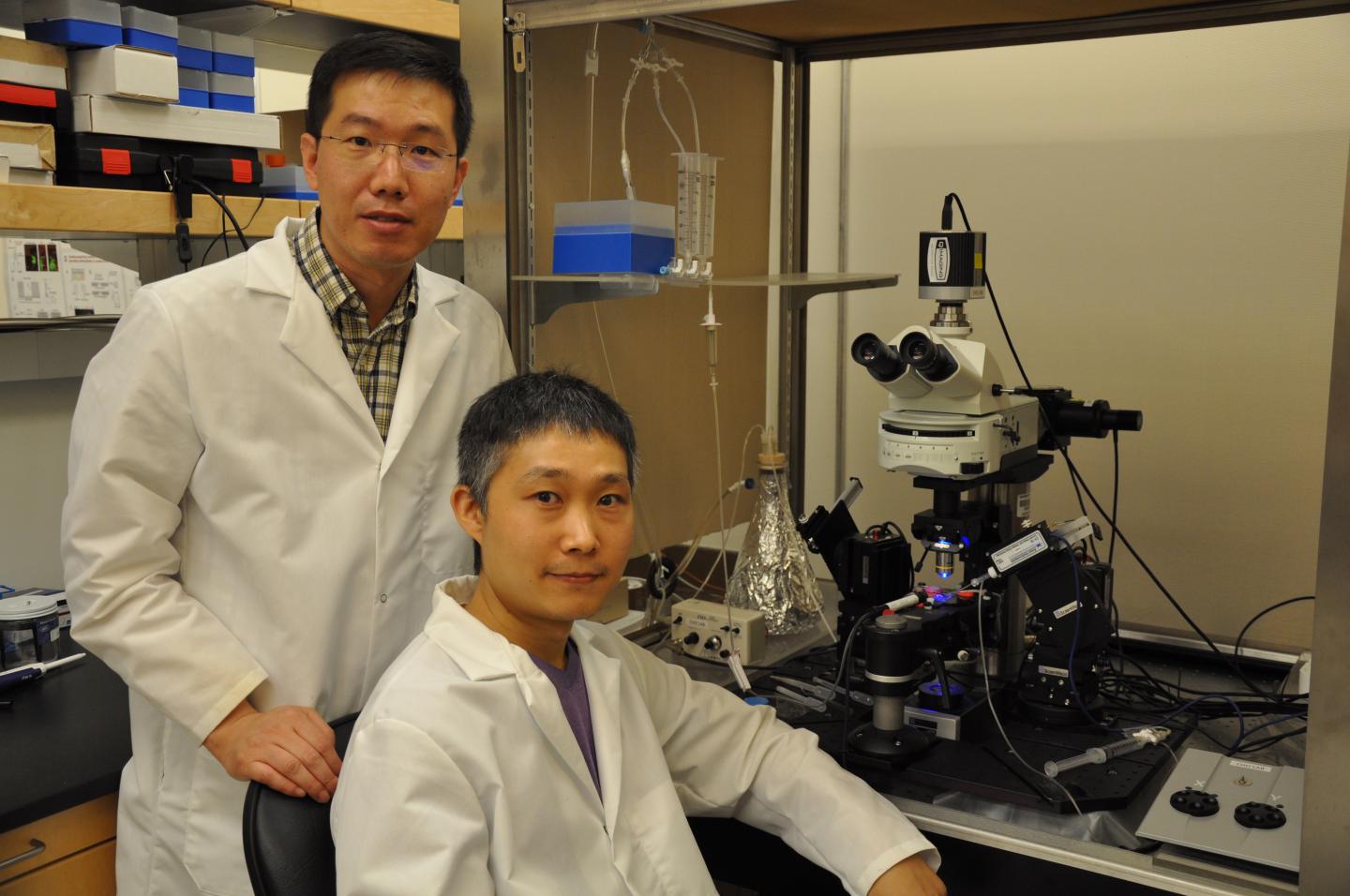 Jun-Hyeong Cho and Woong Bin Kim, University of California - Riverside 