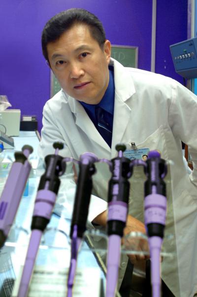 Green Tea May Help Prevent Autoimmune Diseases