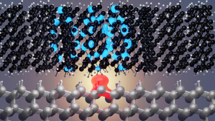 Exciton simulation