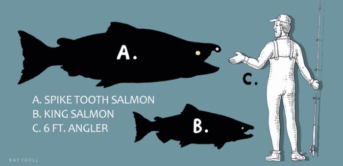 De sables a espinas: una reconstrucción moderna del antiguo, gigante y sexualmente dimórfico salmón del Pacífico, †Oncorhynchus trailesus (SALMONINAE: SALMONINI)
