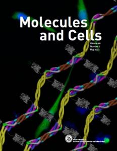 Elsevier Partners with the Korean Society for Molecular and Cellular Biology to Publish Molecules and Cells