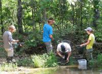 Pond Survey Crew at Work