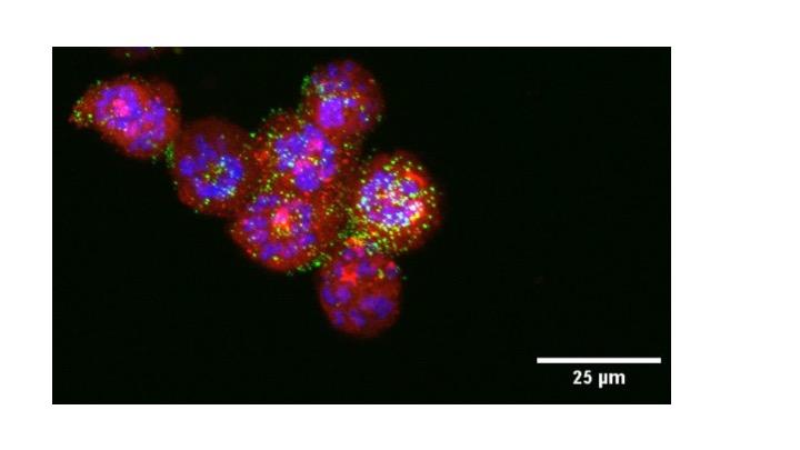 Super-Selective, Super-Lethal Nanoparticles