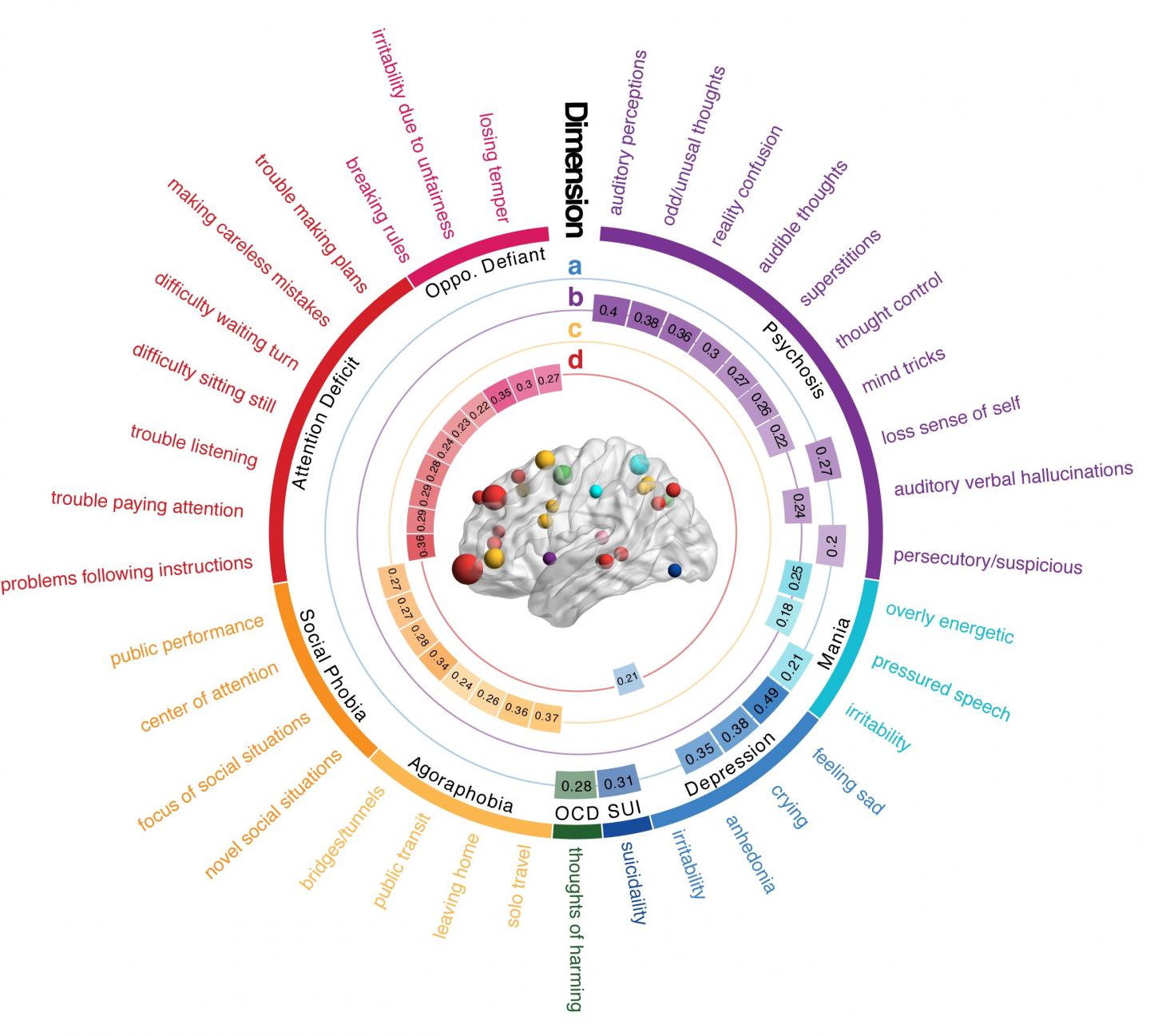 Connectivity-Informed Dimensions of Psychopathology