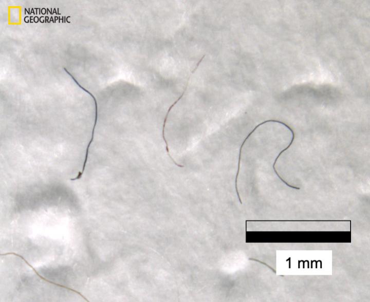 Microplastic fibers