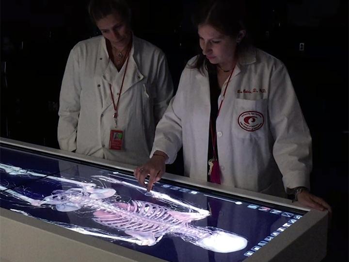 University of Houston Optometry Students Dissect Digital Cadavers